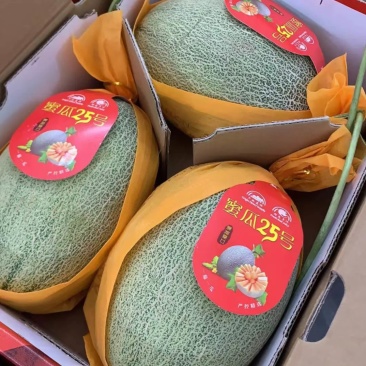 哈密瓜一件代发