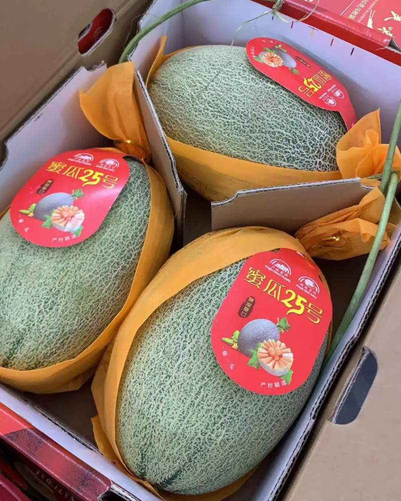 哈密瓜一件代发