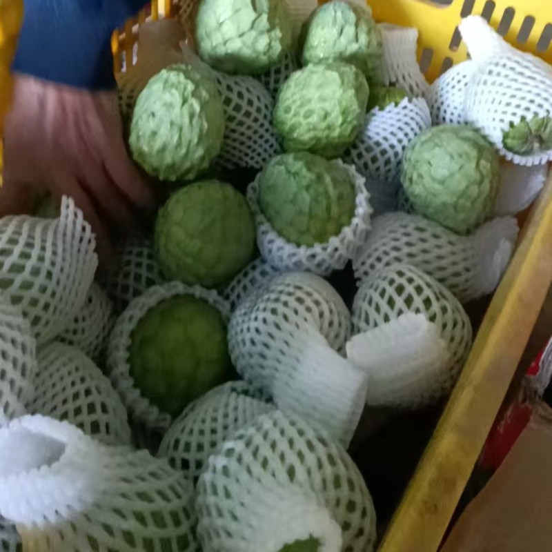 AP释迦果