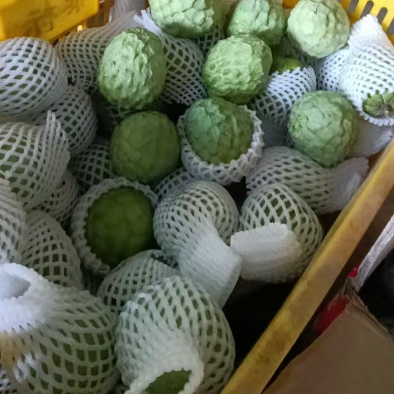 AP释迦果