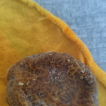 鸡宝
