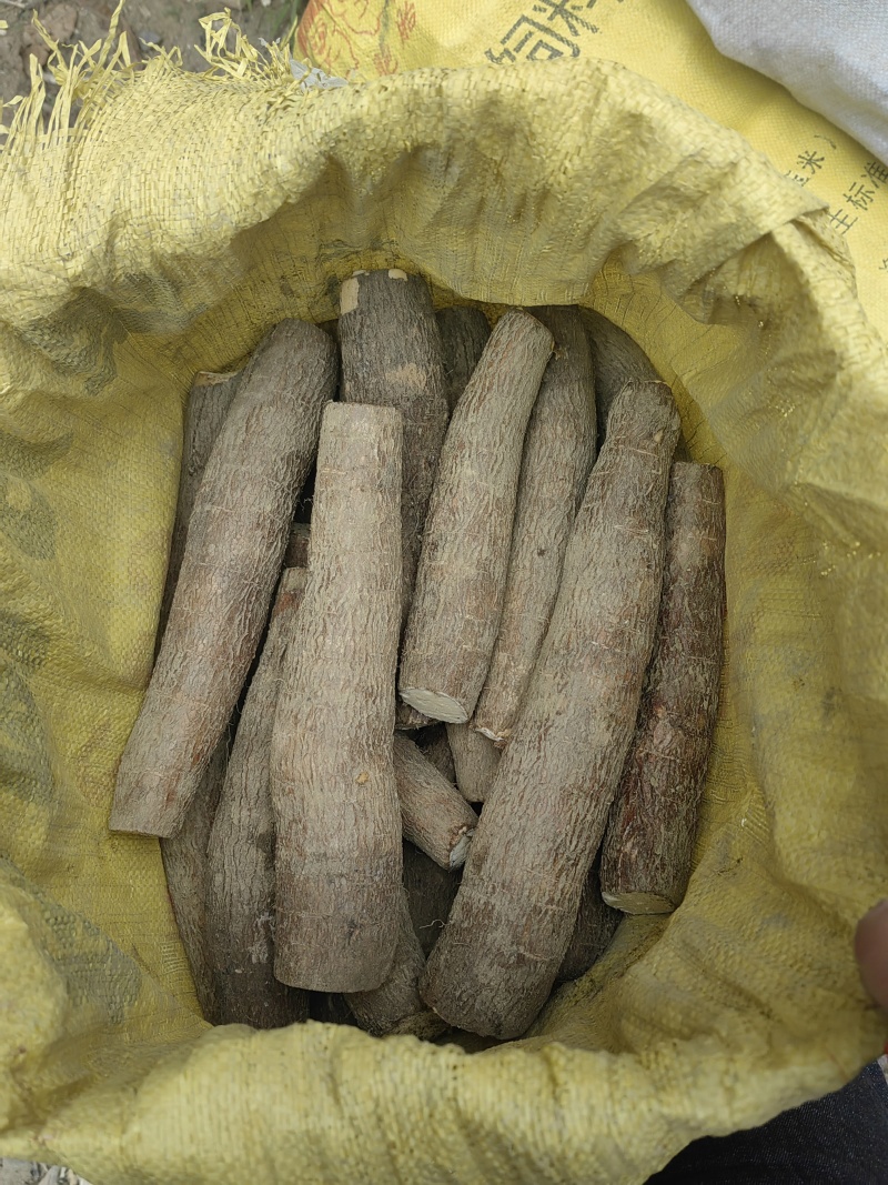 防城港特产，软糯香甜，好吃不贵，，大量批发！