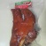 欢迎电话咨询现货秒发猪头肉原产地