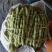 九粒白芸豆大量上市