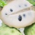 海南释迦果