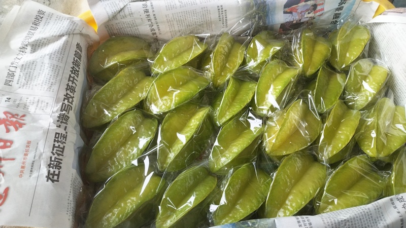 广东杨桃