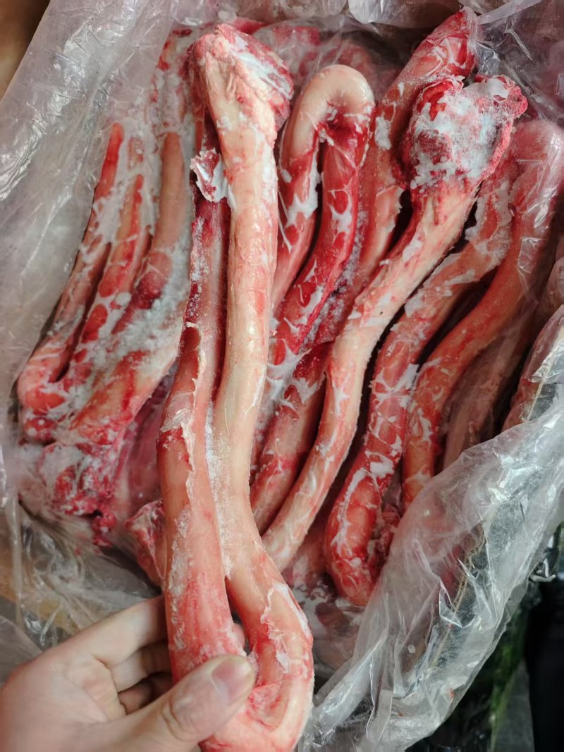 牛鞭无根牛鞭厂家直销量大从优