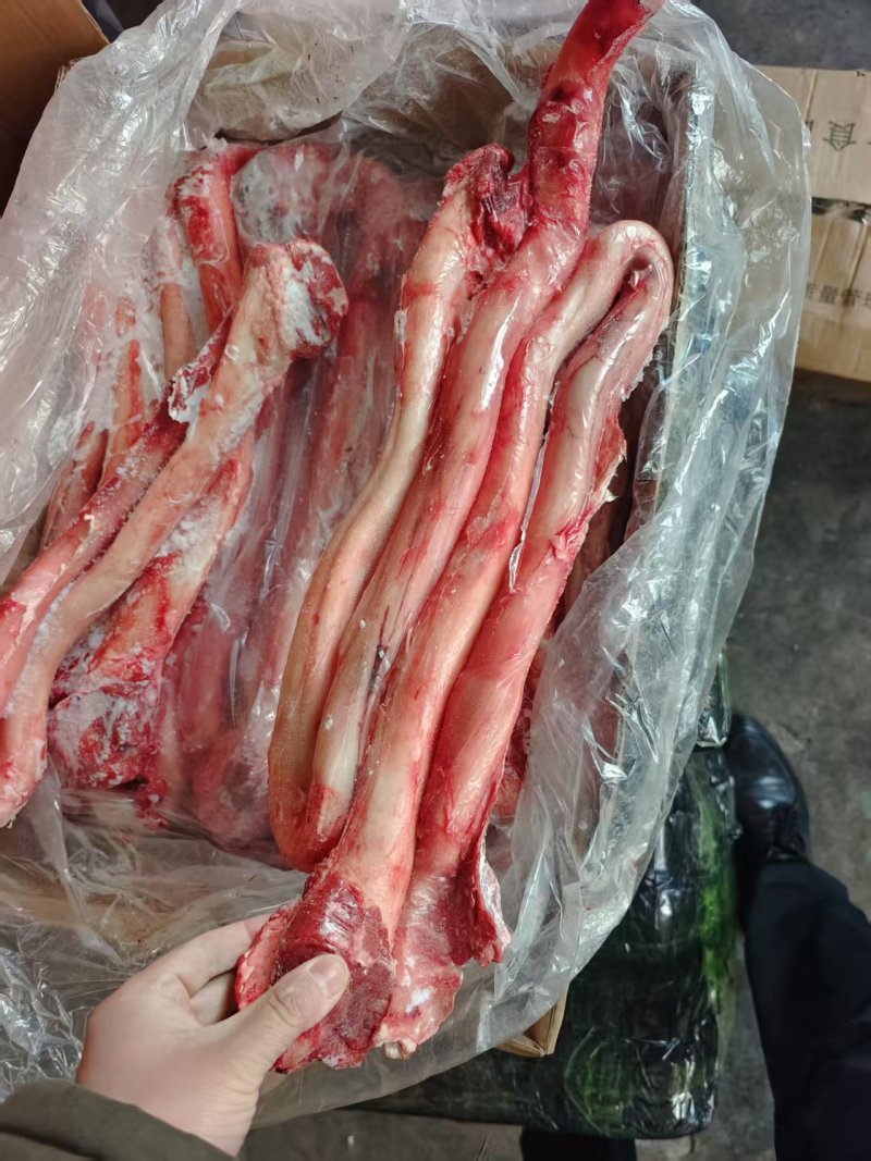 牛鞭无根牛鞭厂家直销量大从优