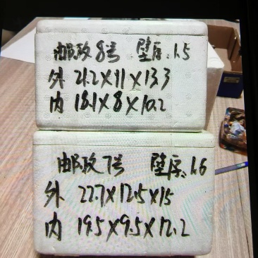 泡沫箱