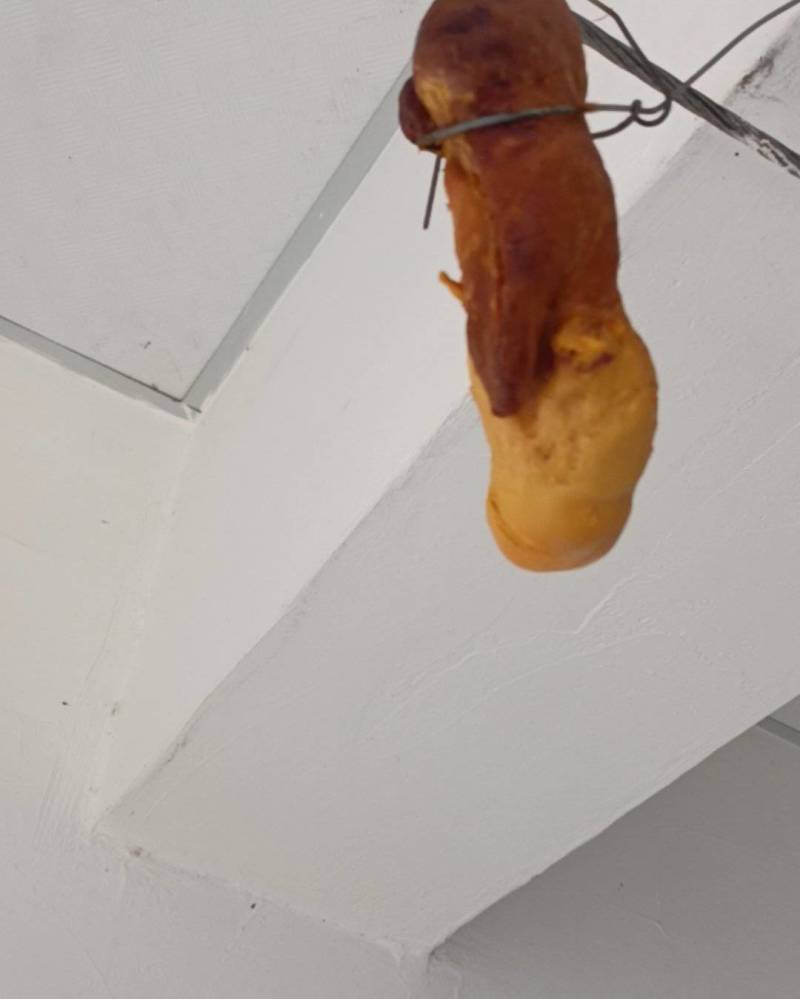 鸡宝