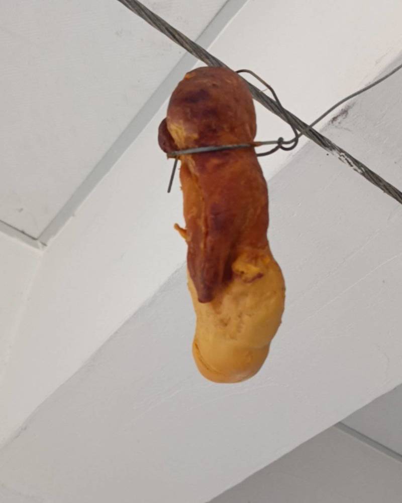 鸡宝