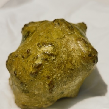 羊胃结石