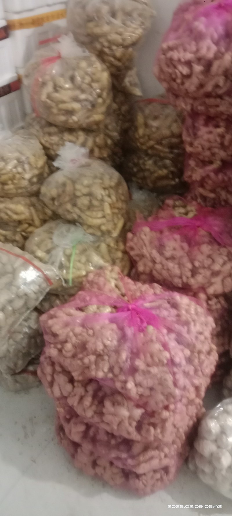 现货好姜随时可以发货规格小姜