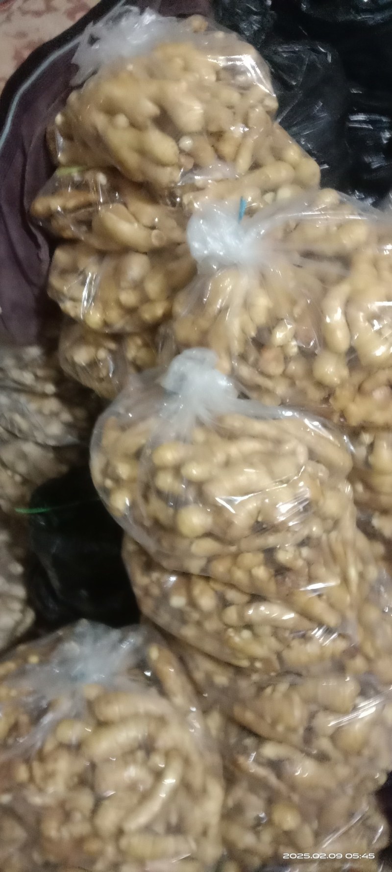 现货好姜随时可以发货规格小姜