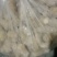 现货好姜随时可以发货规格小姜