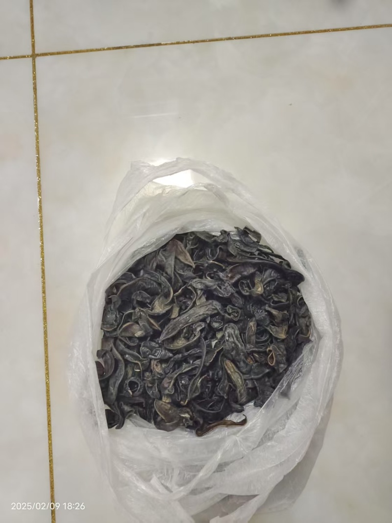 干水蛭