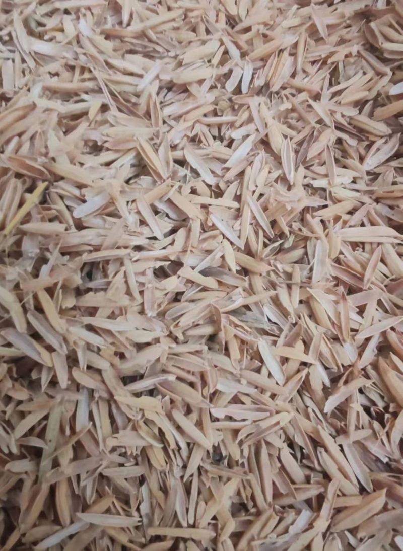 酿酒稻壳/过筛除尘稻壳/高品质稻壳