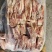 袋装带皮五花肉条手续齐全