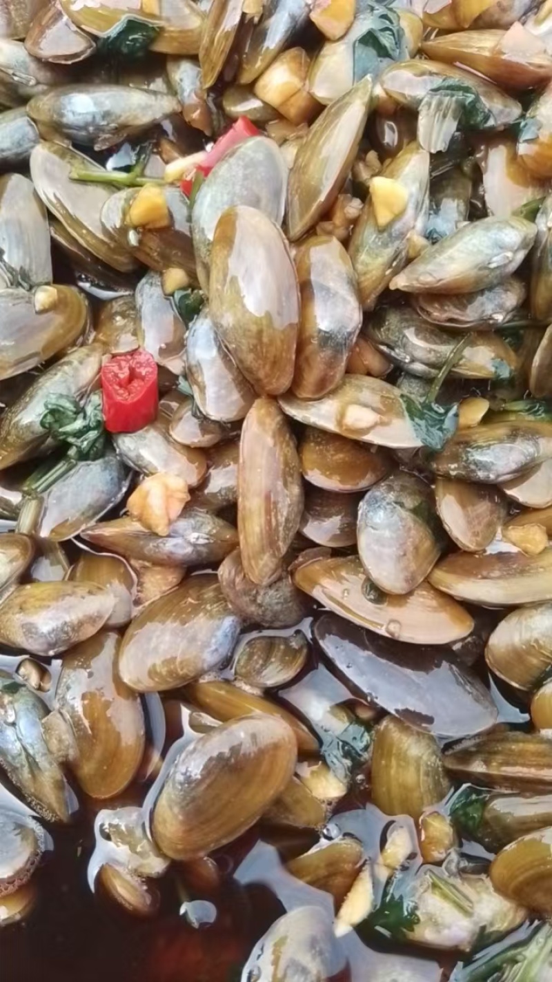 潮汕生腌海瓜子料鸠