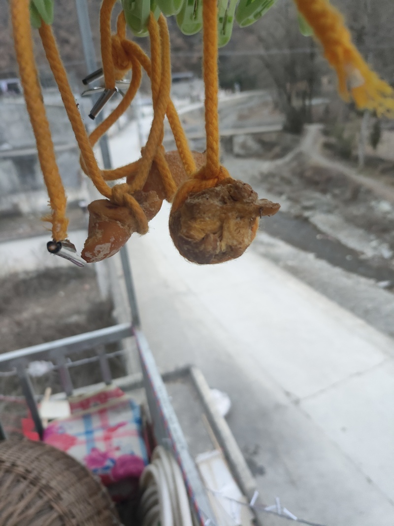 鸡宝