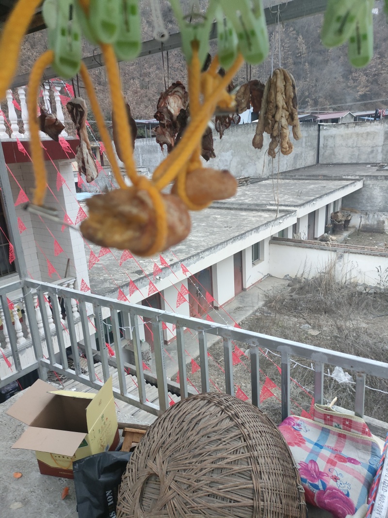 鸡宝