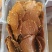 麻辣五香豆腐干