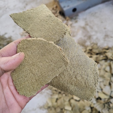 孜然饼