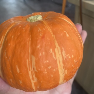 网纹瓜