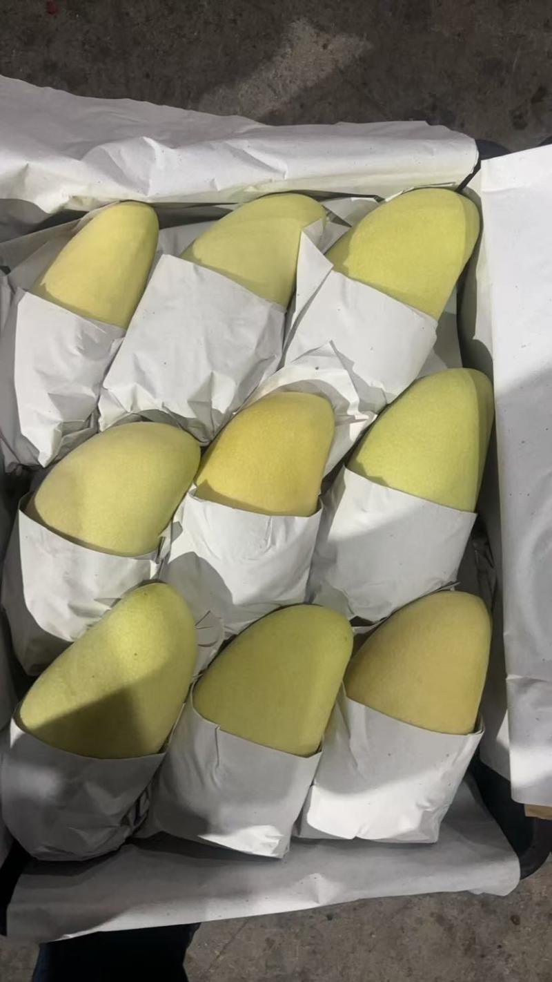 金煌芒套金白金芒果大量货源全国供应充足货源