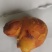 鸡宝