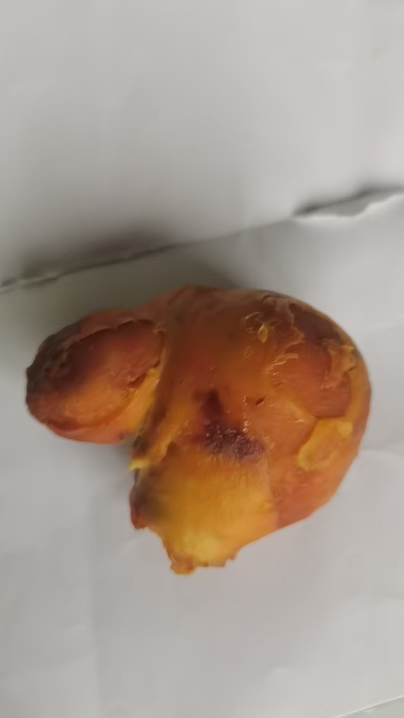 鸡宝