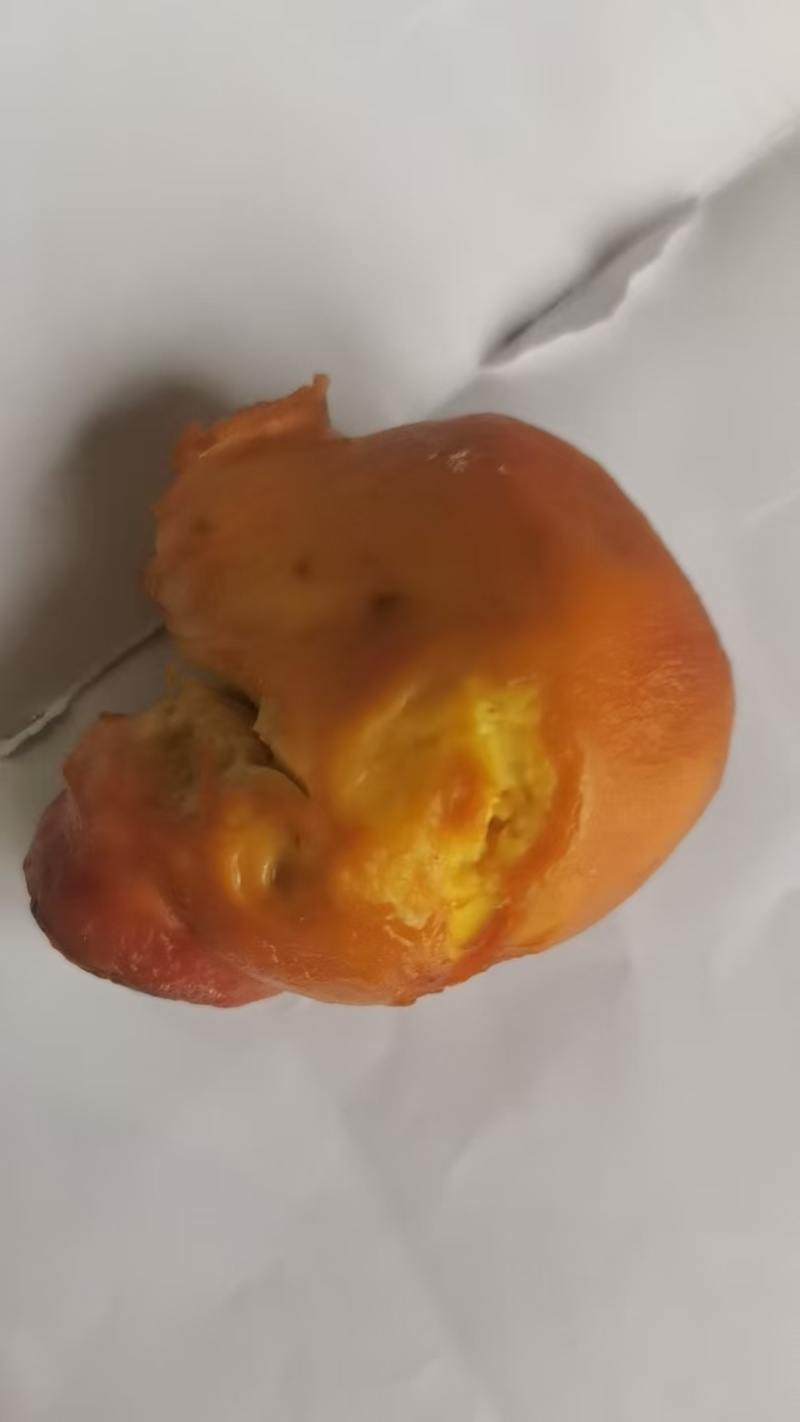 鸡宝