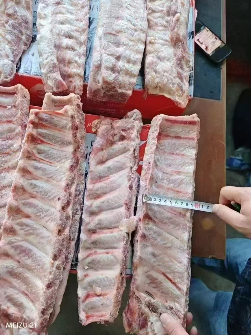 肥猪寸排