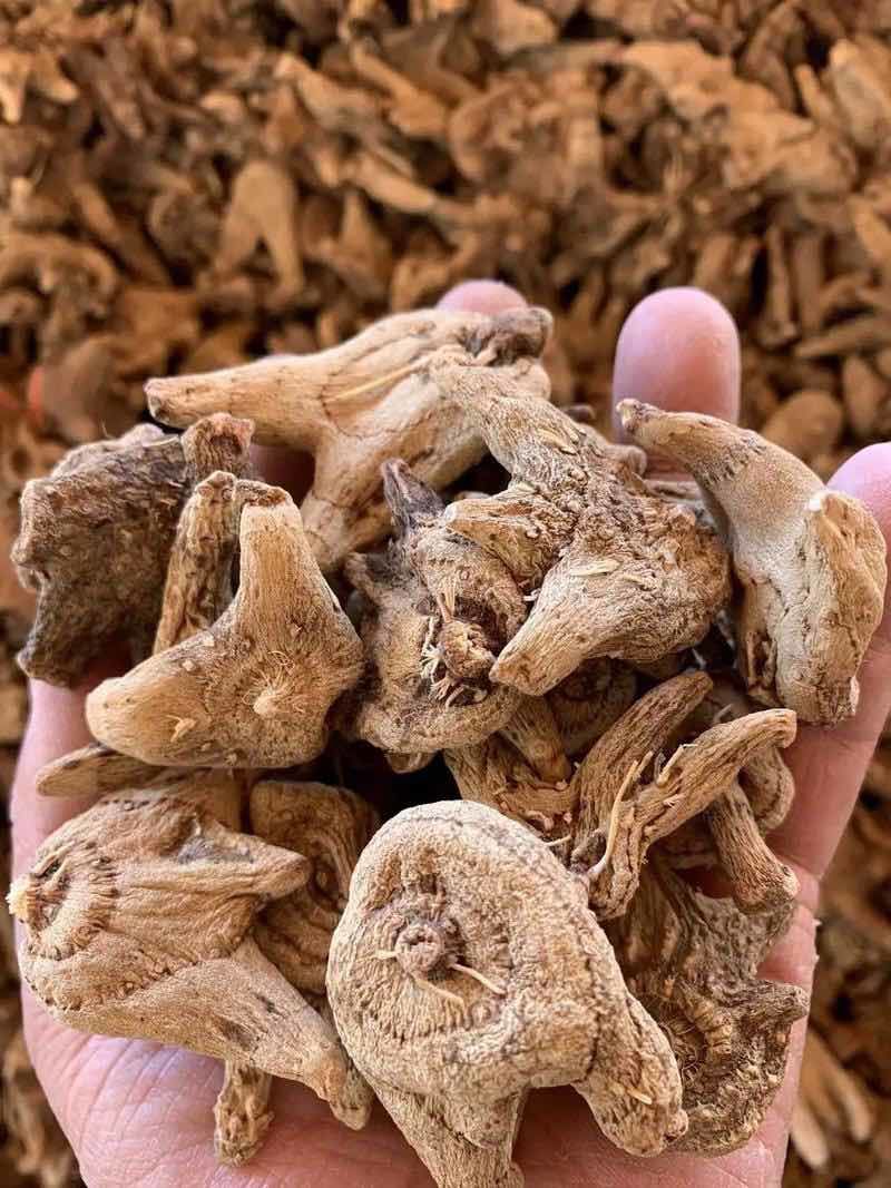 白芨佳品产地直发无杂质24小时在线服务稀缺上新