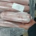 三号肉双，鲜分新货