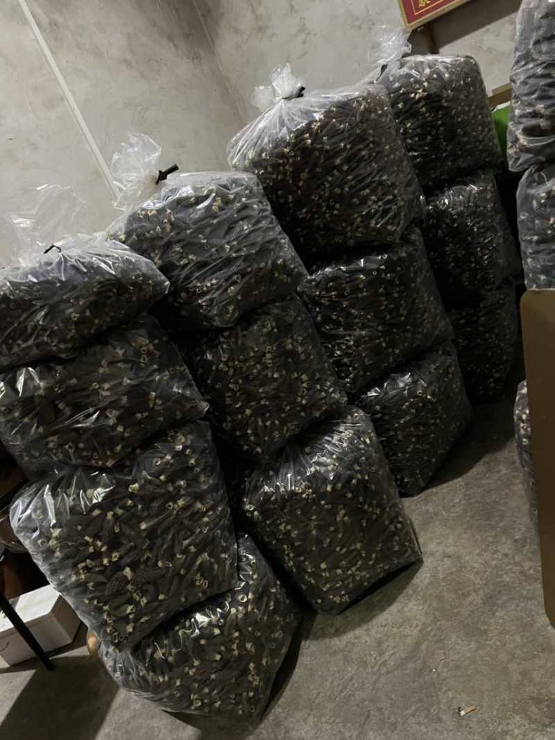 湄潭羊肚菌