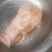 鹅宝