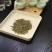 首批正宗西湖龙井茶（龙井43）