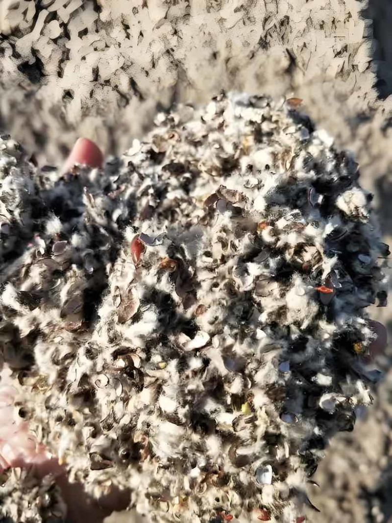 棉籽壳中绒长绒磨盘壳含棉仁含粉