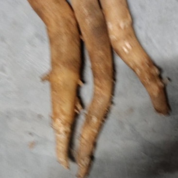 面包，木薯