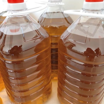 广西百色高海拔山茶油