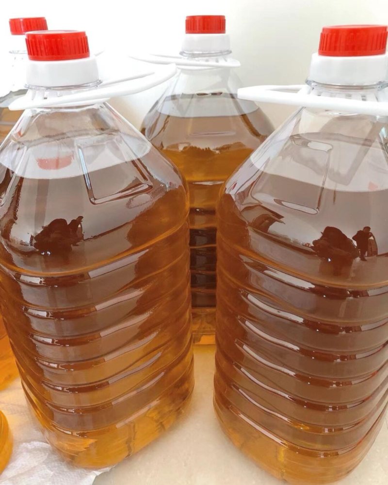 广西百色高海拔山茶油