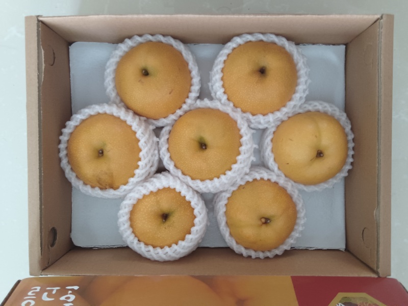 山东韩国品种新高梨