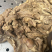 熟羊肉一手货源大量现货量大从优