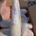 牛心牛舌腾惠更多客户的选择全国接单中