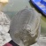 汉寿生态甲鱼