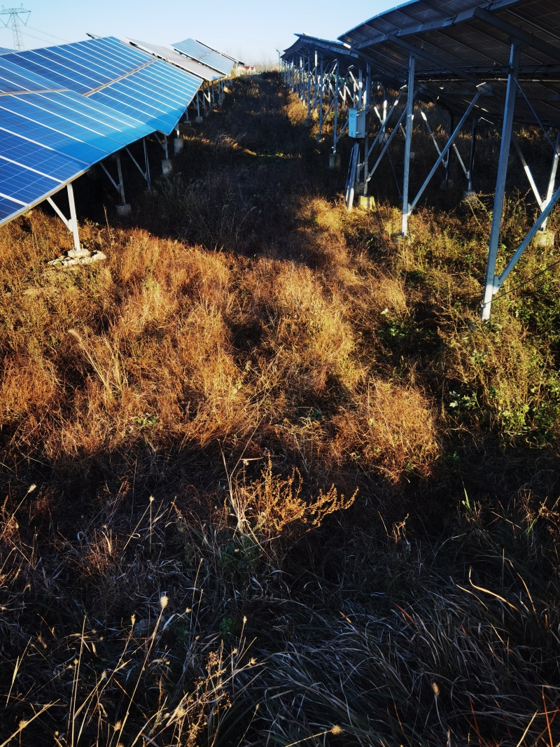 位于安徽六安市3600余亩光伏配套农业种植用地使用权转让