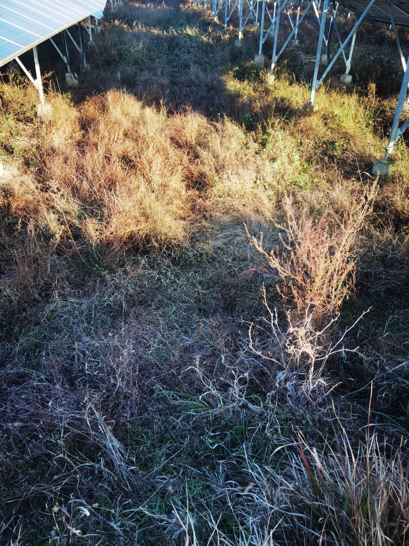 位于安徽六安市3600余亩光伏配套农业种植用地使用权转让