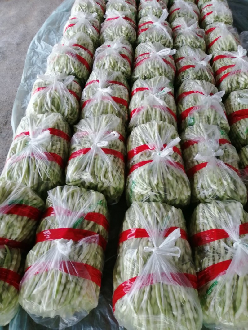 九粒白芸豆大量上市