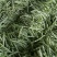九粒白芸豆大量上市